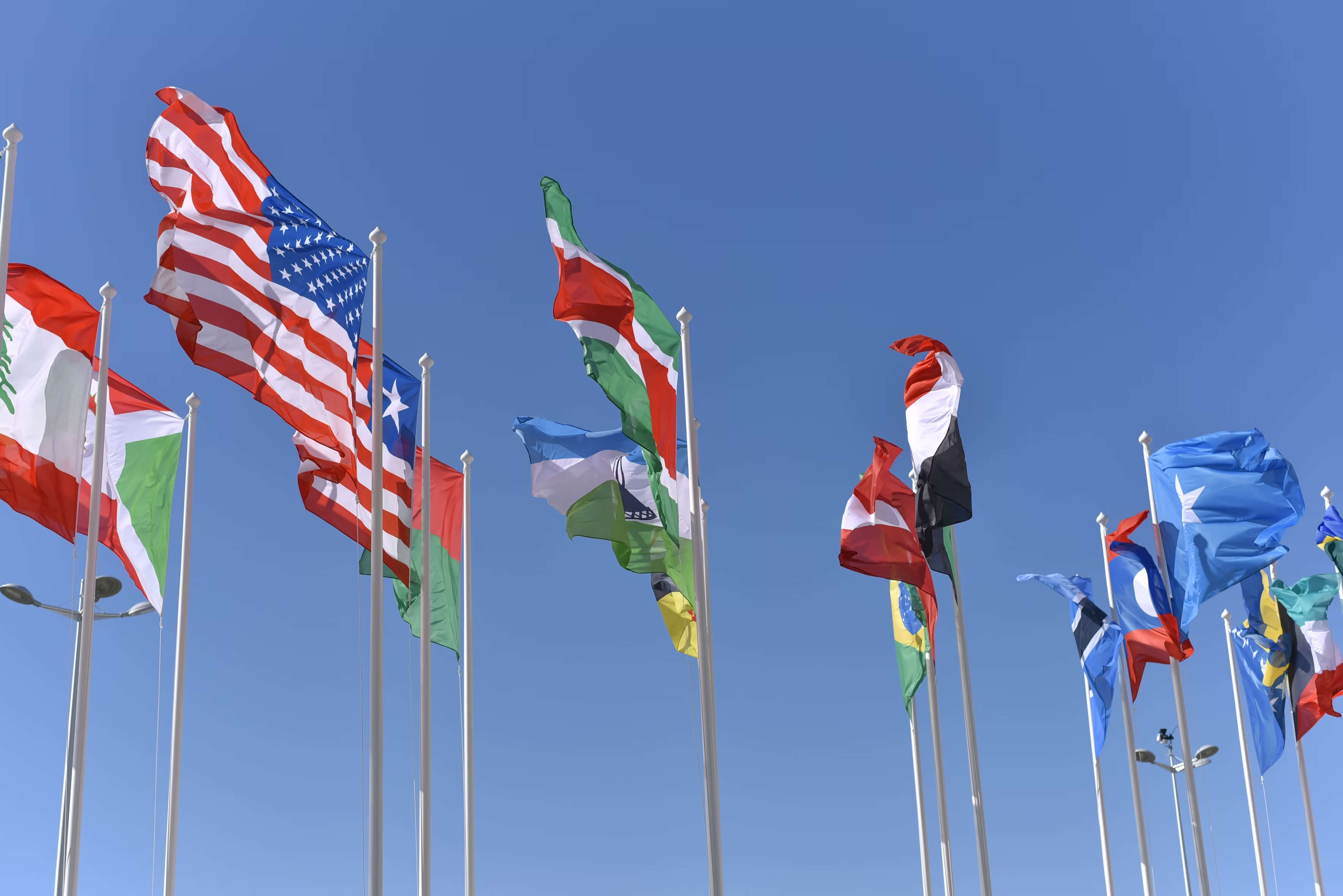 R&D transfer pricing compliance – international flags symbolizing RDIG’s service helping businesses achieve arm’s length analysis, avoid double taxation, and meet global standards