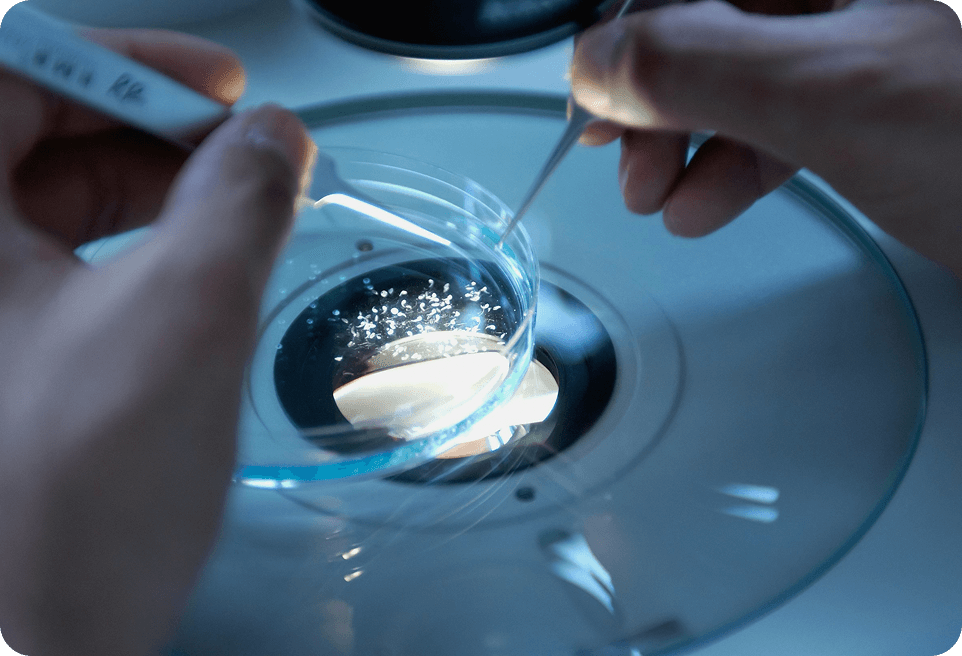 R&D tax credit support – close-up of lab research symbolizing RDIG’s service that helps companies maximize tax credits with expert strategy and streamlined processes